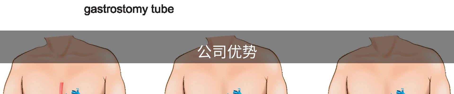 公司优势